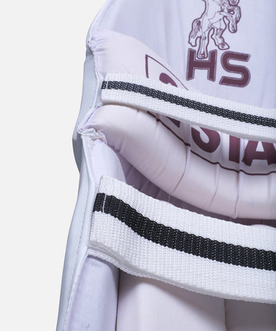 BATTING PAD HS 2 STAR