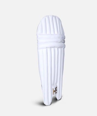 BATTING PAD HS T20