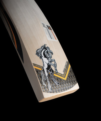 PRO edition HS 41 English Willow Bat