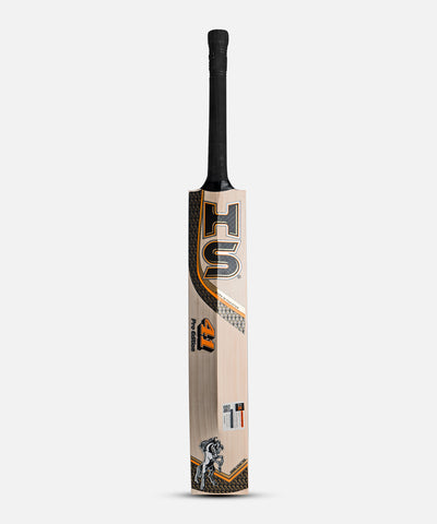 PRO edition HS 41 English Willow Bat