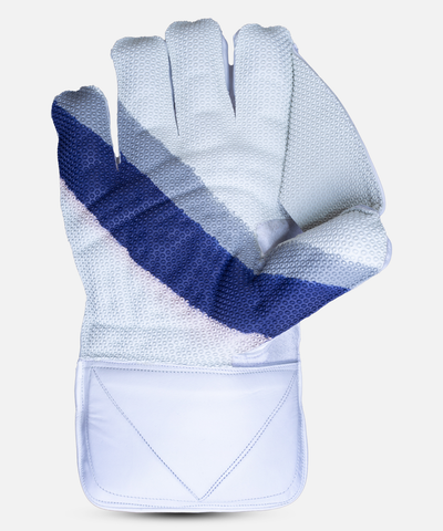 WICKET KEEPING GLOVE HS Y10K