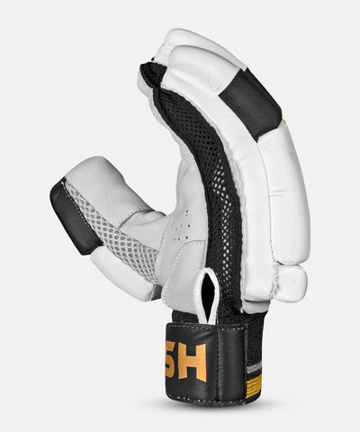 Batting Gloves HS T20
