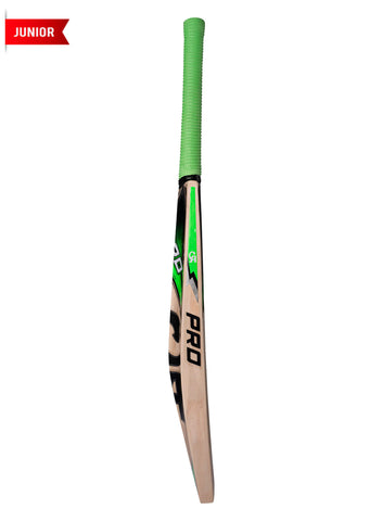 CA PRO 1000