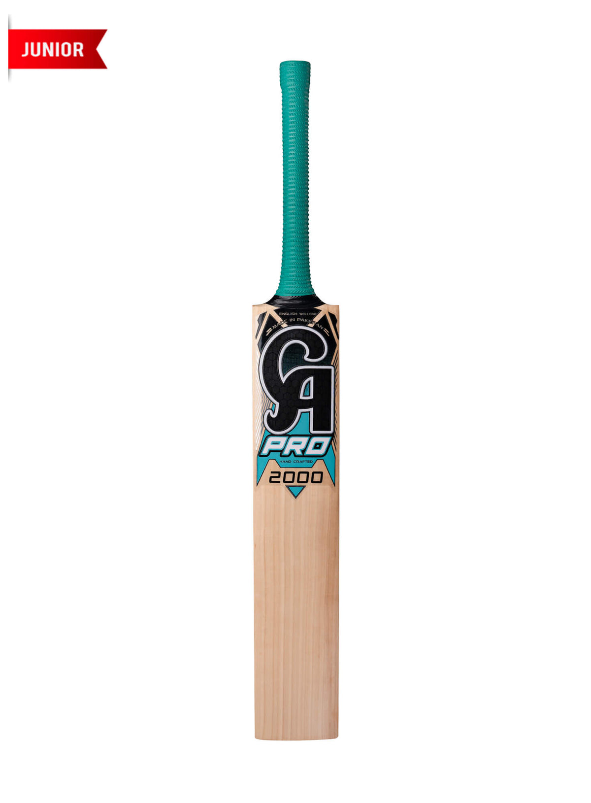 CA PRO 2000