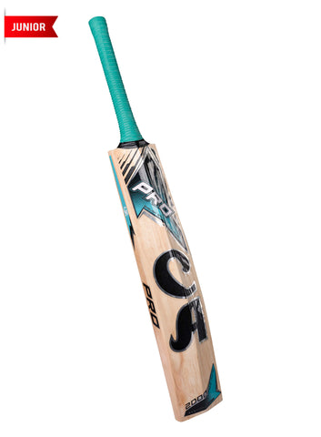 CA PRO 2000