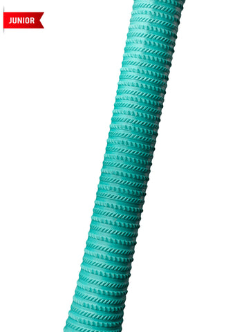 CA PRO 2000