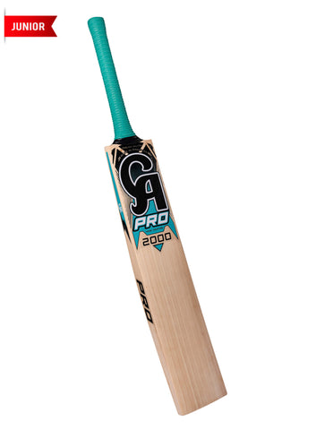 CA PRO 2000