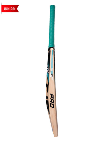 CA PRO 2000