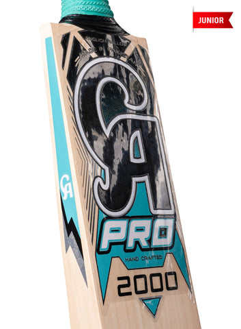 CA PRO 2000