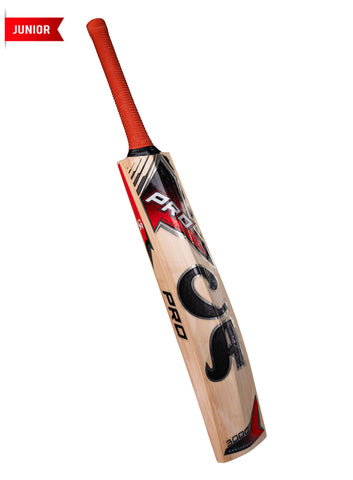 CA PRO 3000