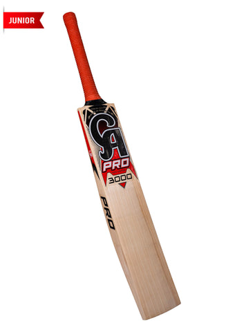 CA PRO 3000