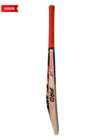 CA PRO 3000