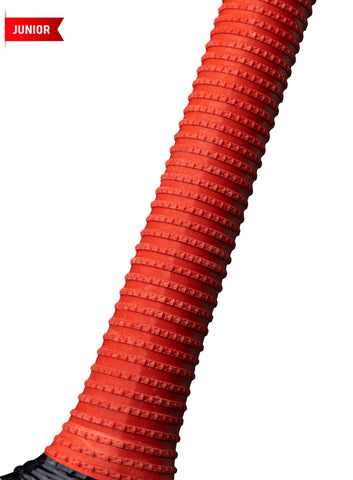 CA PRO 3000