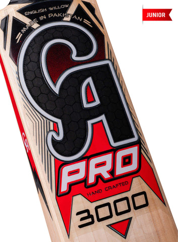 CA PRO 3000