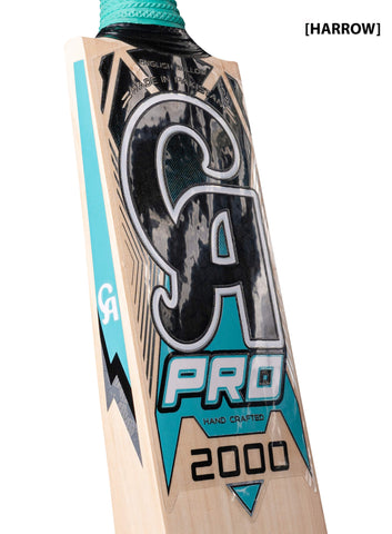 CA Pro 2000