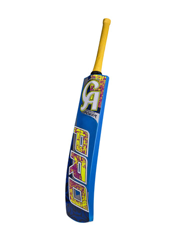CA Pro Premium Power