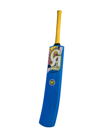 CA Pro Premium Power